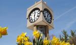 clocktower500